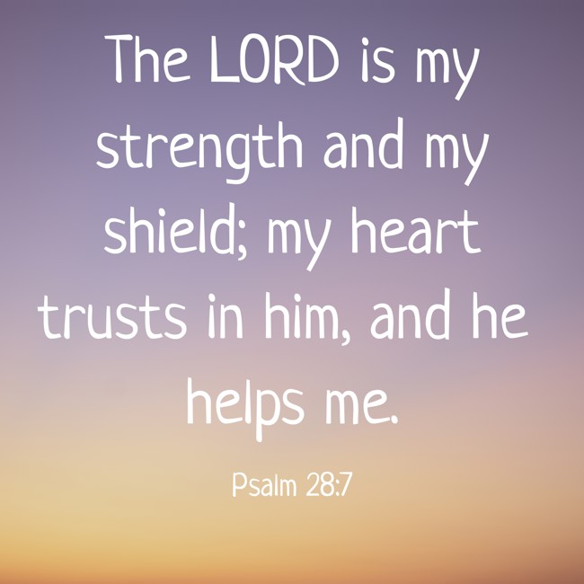  The LORD is my strength and my shield; my heart trusts in him, and he helps me.   - Psalm 28:7 