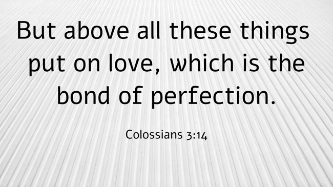 But above all these things put on love, which is the bond of perfection. - Colossians 3:14