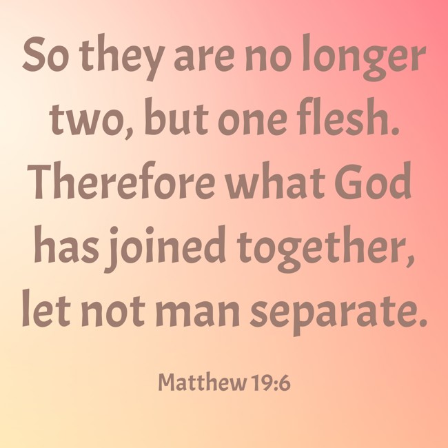 So they are no longer two, but one flesh. Therefore what God has joined together, let not man separate. - Matthew 19:6