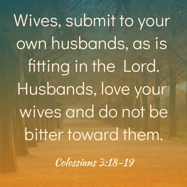 Wives, submit to your own husbands, as is fitting in the Lord. Husbands, love your wives and do not be bitter toward them. - Colossians 3:18-19