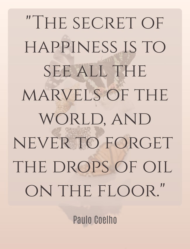 The secret of happiness is to see all the marvels of the world, and never to forget the drops of oil on the floor. - Paulo Coelho