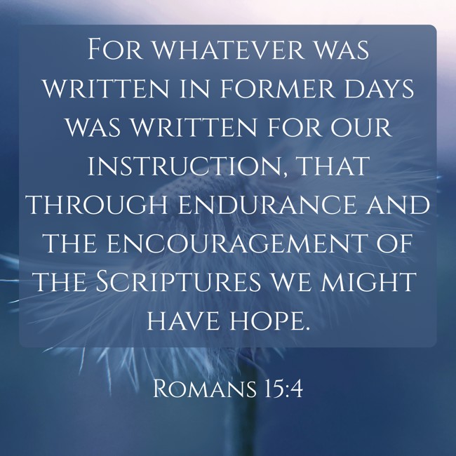For whatever was written in former days was written for our instruction, that through endurance and the encouragement of the Scriptures we might have hope. - Romans 15:4