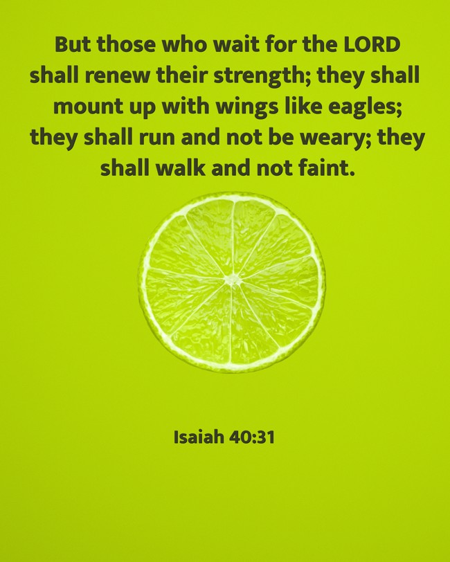 But those who wait for the LORD shall renew their strength; they shall mount up with wings like eagles; they shall run and not be weary; they shall walk and not faint. - Isaiah 40:31