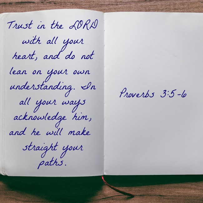 Trust in the LORD with all your heart, and do not lean on your own understanding. In all your ways acknowledge him, and he will make straight your paths. - Proverbs 3:5-6