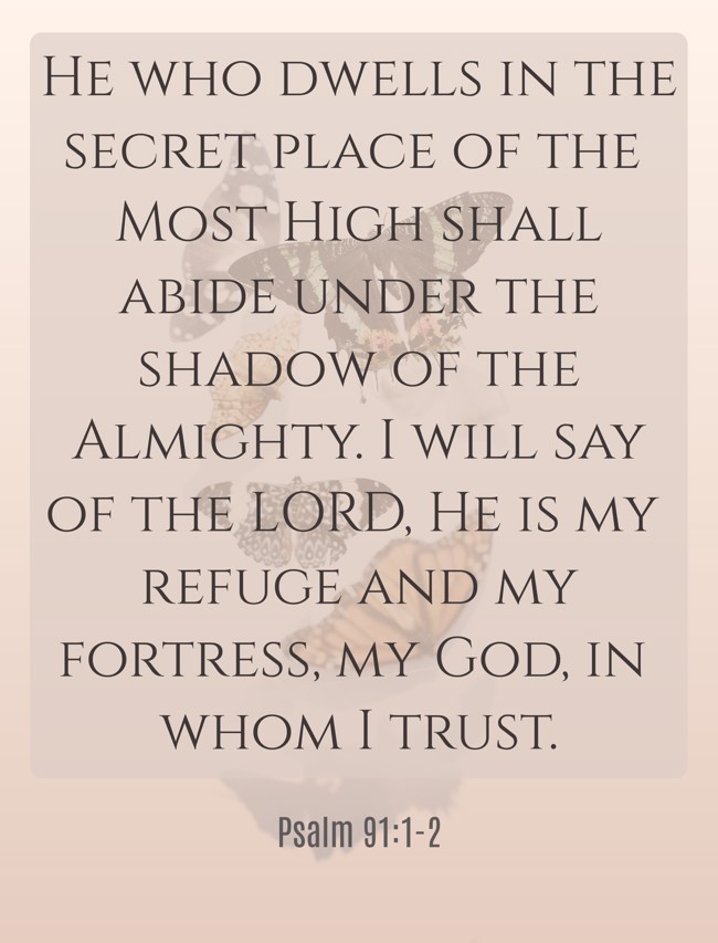 He who dwells in the secret place of the Most High shall abide under the shadow of the Almighty. I will say of the LORD, He is my refuge and my fortress, my God, in whom I trust. - Psalm 91:1-2