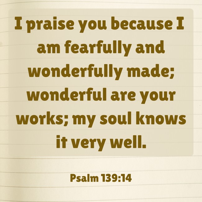 I praise you because I am fearfully and wonderfully made; wonderful are your works; my soul knows it very well. - Psalm 139:14