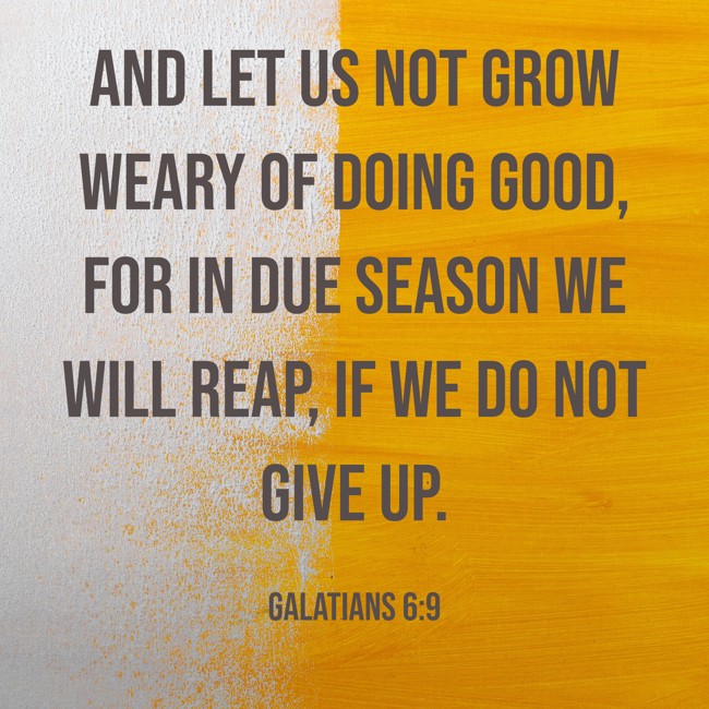 And let us not grow weary of doing good, for in due season we will reap, if we do not give up. - Galatians 6:9