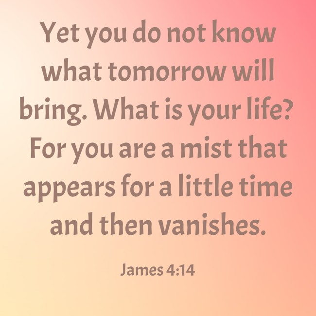  Yet you do not know what tomorrow will bring. What is your life? For you are a mist that appears for a little time and then vanishes.   - James 4:14 