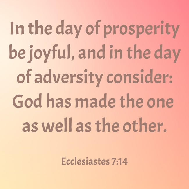  In the day of prosperity be joyful, and in the day of adversity consider: God has made the one as well as the other.   - Ecclesiastes 7:14 