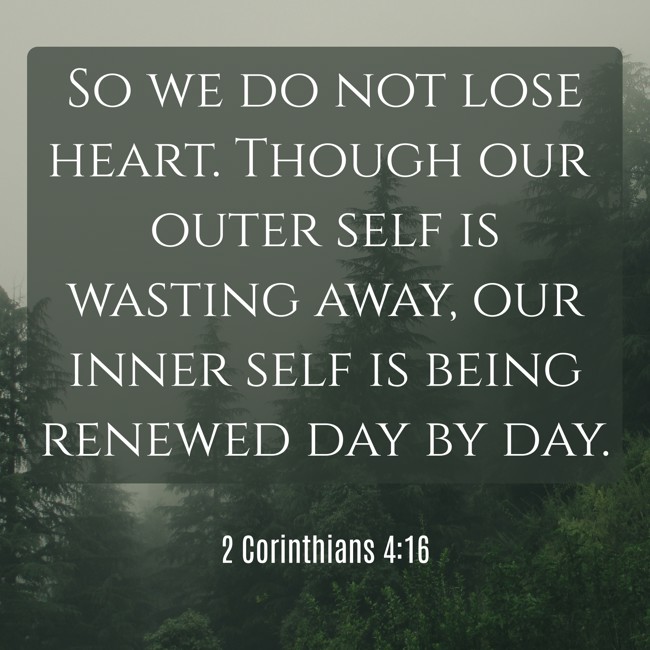  So we do not lose heart. Though our outer self is wasting away, our inner self is being renewed day by day.   - 2 Corinthians 4:16 