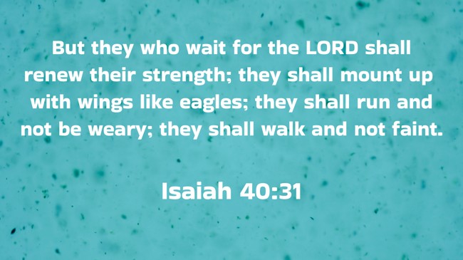  But they who wait for the LORD shall renew their strength; they shall mount up with wings like eagles; they shall run and not be weary; they shall walk and not faint.   - Isaiah 40:31 
