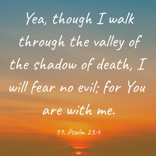 Yea, though I walk through the valley of the shadow of death, I will fear no evil; for You are with me. - 11. Psalm 23:4