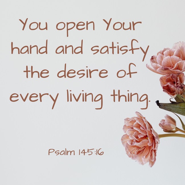 You open Your hand and satisfy the desire of every living thing. - Psalm 145:16