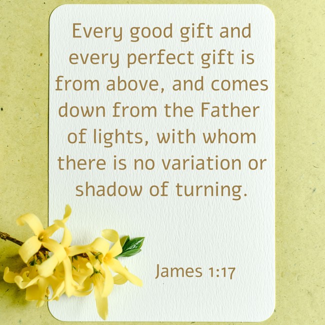 Every good gift and every perfect gift is from above, and comes down from the Father of lights, with whom there is no variation or shadow of turning. - James 1:17