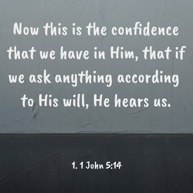 Now this is the confidence that we have in Him, that if we ask anything according to His will, He hears us. - 1. 1 John 5:14