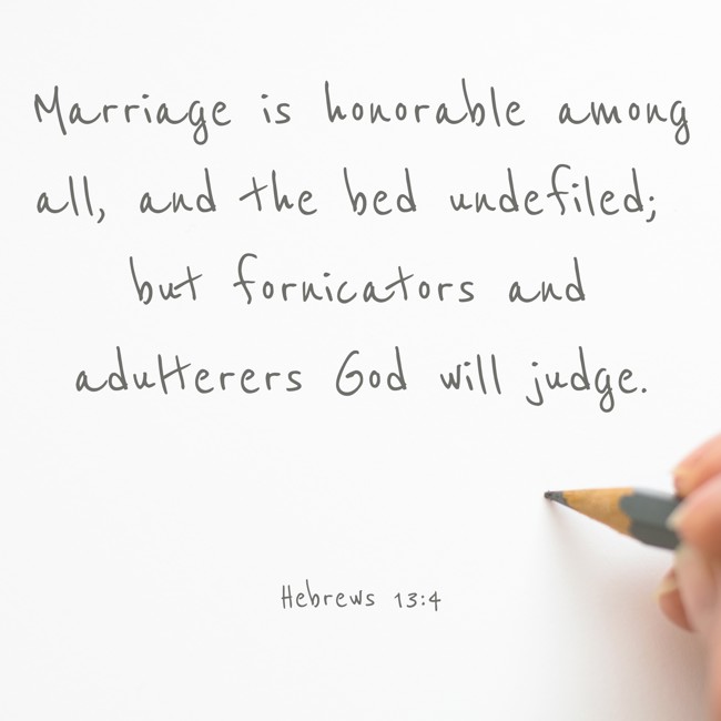  Marriage is honorable among all, and the bed undefiled; but fornicators and adulterers God will judge.   - Hebrews 13:4 