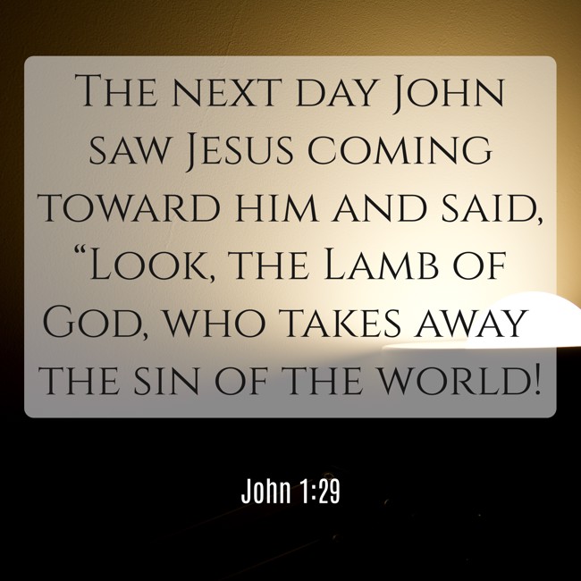 The next day John saw Jesus coming toward him and said, “Look, the Lamb of God, who takes away the sin of the world! - John 1:29