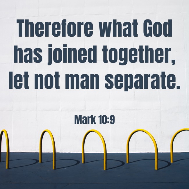  Therefore what God has joined together, let not man separate.   - Mark 10:9 