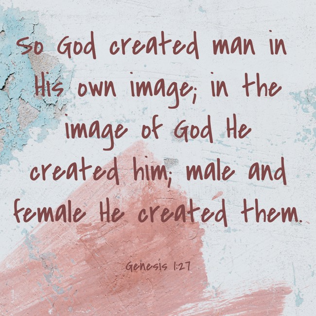  So God created man in His own image; in the image of God He created him; male and female He created them.   - Genesis 1:27 