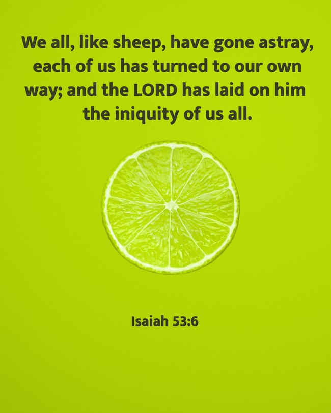 We all, like sheep, have gone astray, each of us has turned to our own way; and the LORD has laid on him the iniquity of us all. - Isaiah 53:6