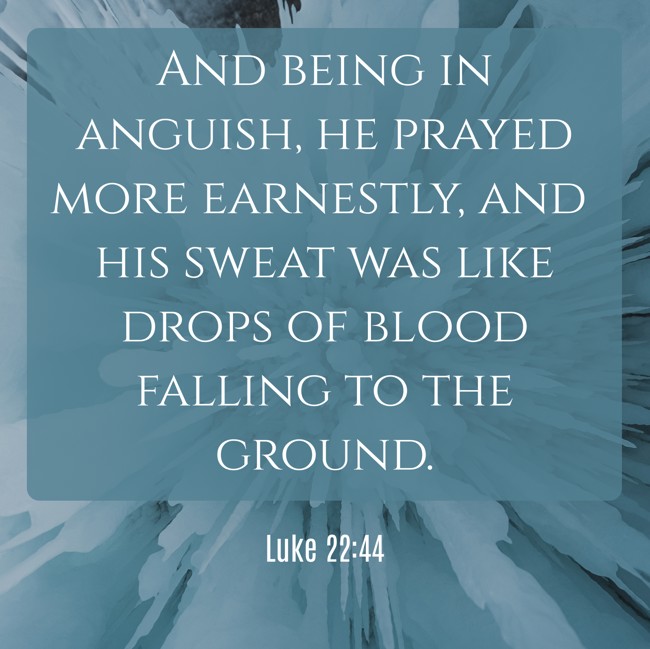 And being in anguish, he prayed more earnestly, and his sweat was like drops of blood falling to the ground. - Luke 22:44