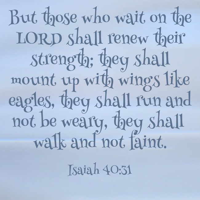 But those who wait on the LORD shall renew their strength; they shall mount up with wings like eagles, they shall run and not be weary, they shall walk and not faint. - Isaiah 40:31