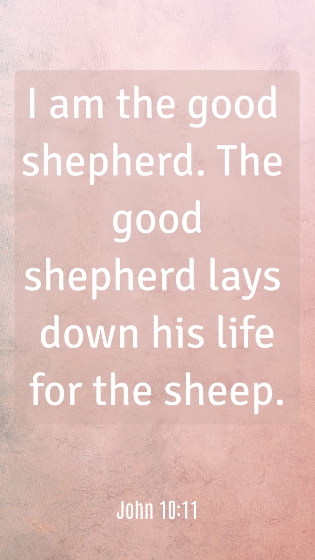 I am the good shepherd. The good shepherd lays down his life for the sheep. - John 10:11