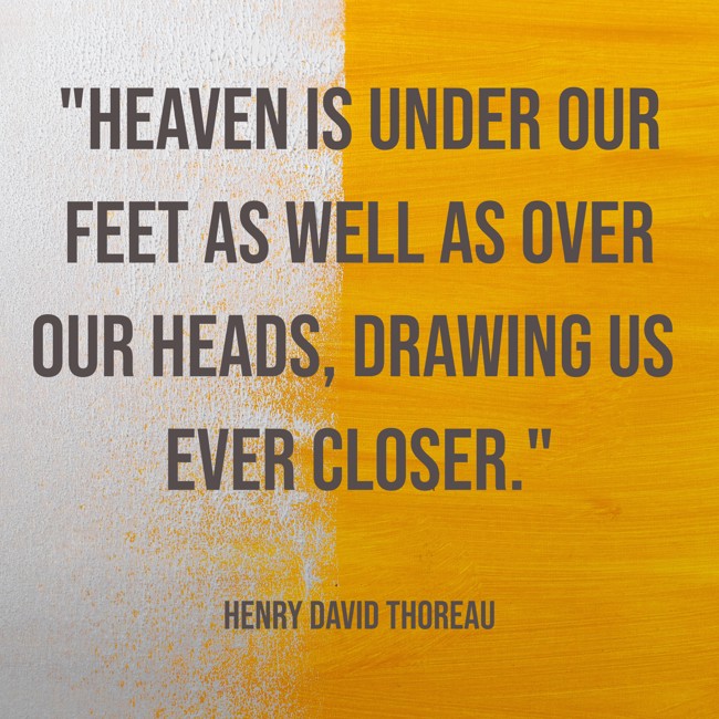 Heaven is under our feet as well as over our heads, drawing us ever closer. - Henry David Thoreau