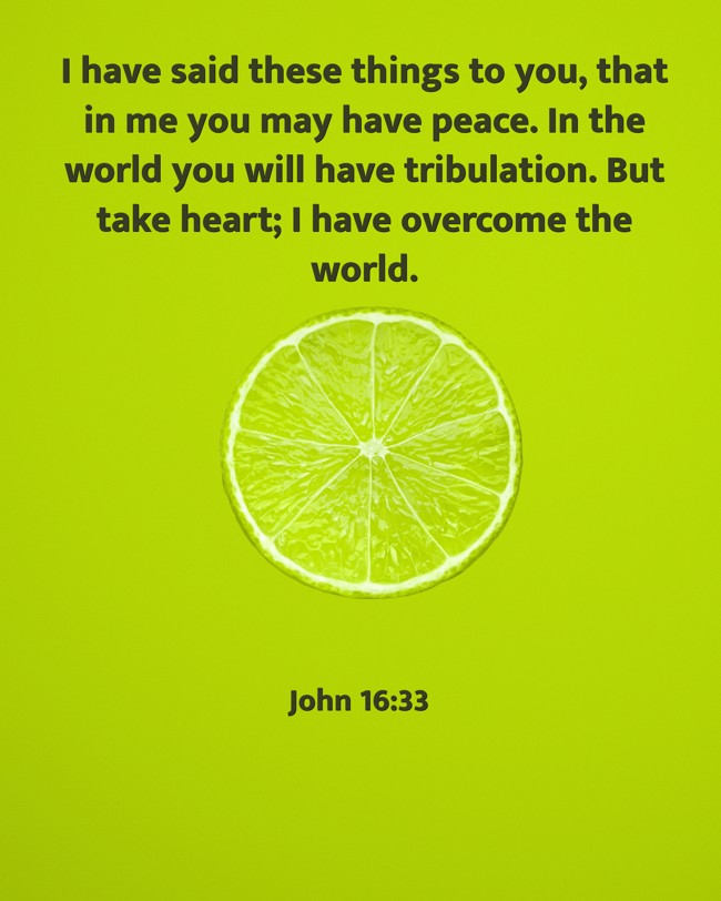 I have said these things to you, that in me you may have peace. In the world you will have tribulation. But take heart; I have overcome the world. - John 16:33