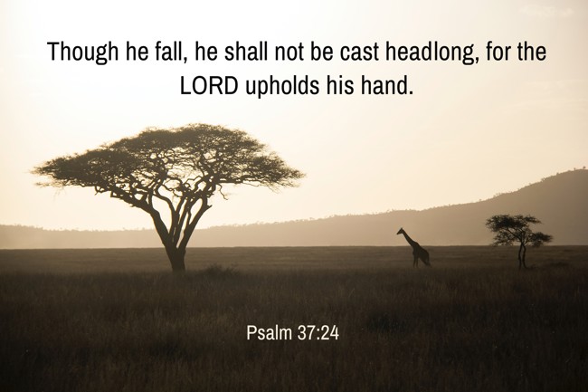 Though he fall, he shall not be cast headlong, for the LORD upholds his hand. - Psalm 37:24