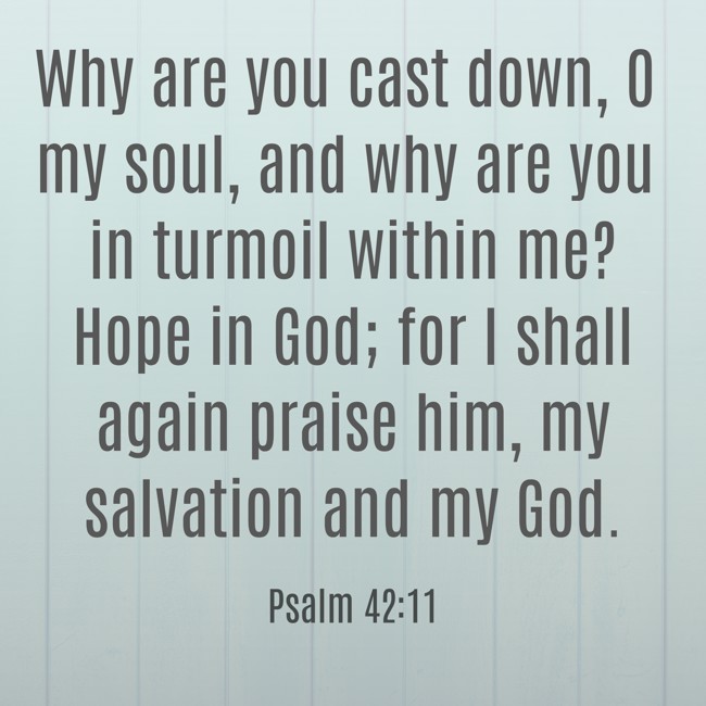 Why are you cast down, O my soul, and why are you in turmoil within me? Hope in God; for I shall again praise him, my salvation and my God. - Psalm 42:11