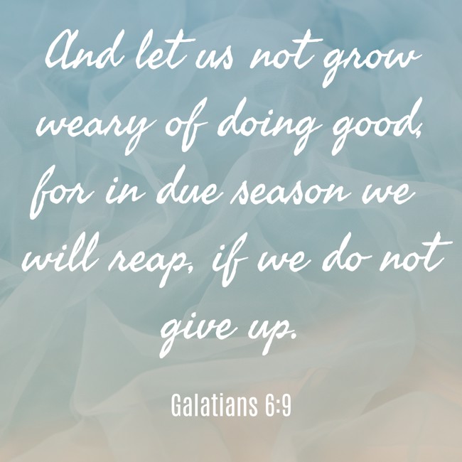 And let us not grow weary of doing good, for in due season we will reap, if we do not give up. - Galatians 6:9