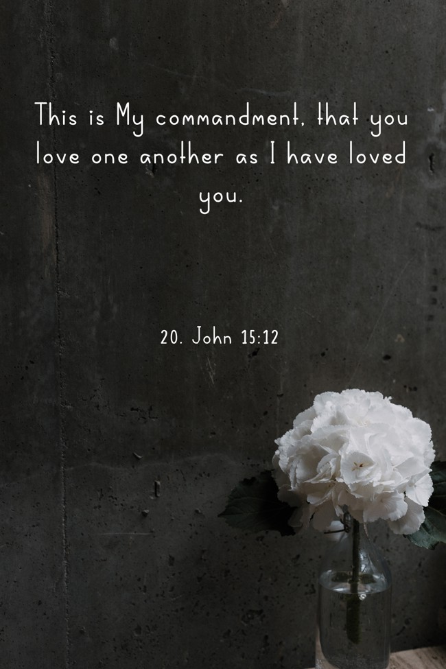 This is My commandment, that you love one another as I have loved you. - 20. John 15:12