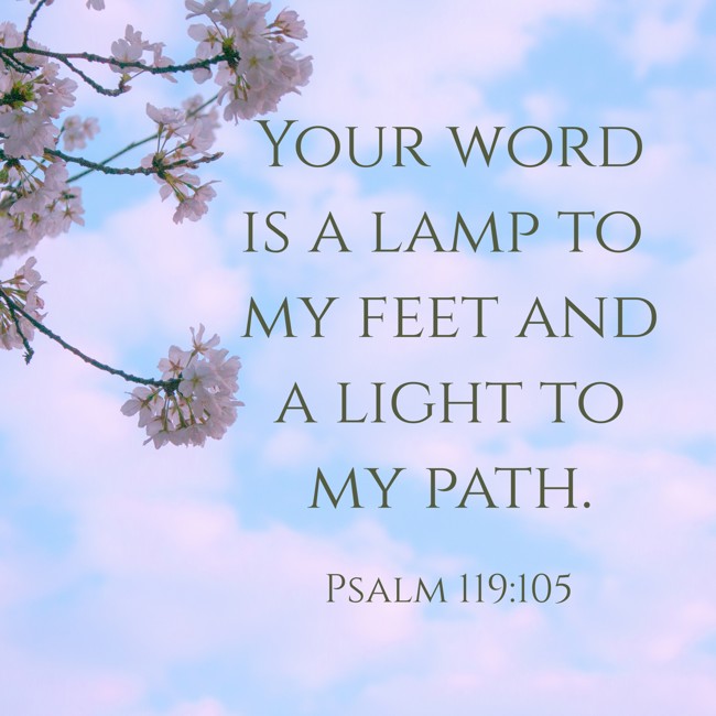 Your word is a lamp to my feet and a light to my path. - Psalm 119:105