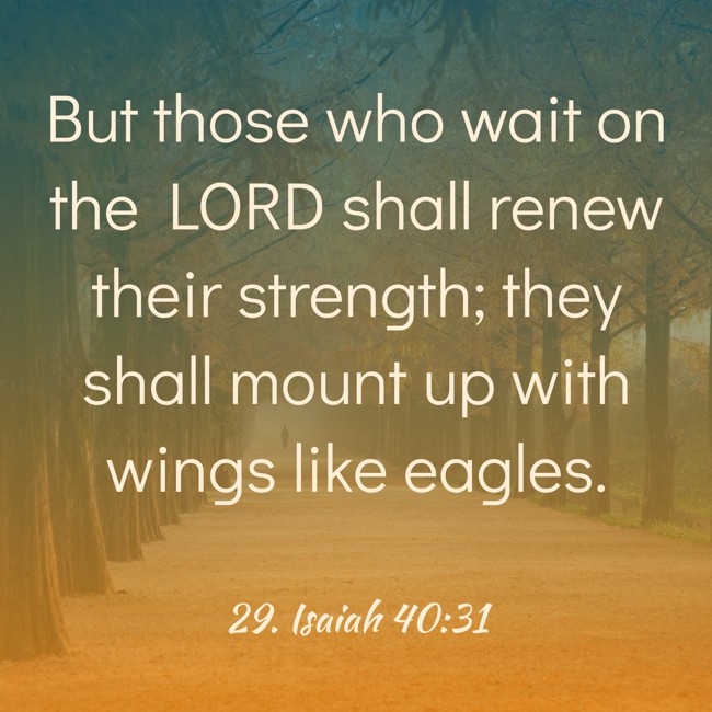 But those who wait on the LORD shall renew their strength; they shall mount up with wings like eagles. - 29. Isaiah 40:31
