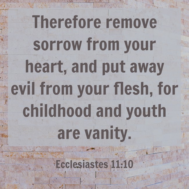 Therefore remove sorrow from your heart, and put away evil from your flesh, for childhood and youth are vanity. - Ecclesiastes 11:10