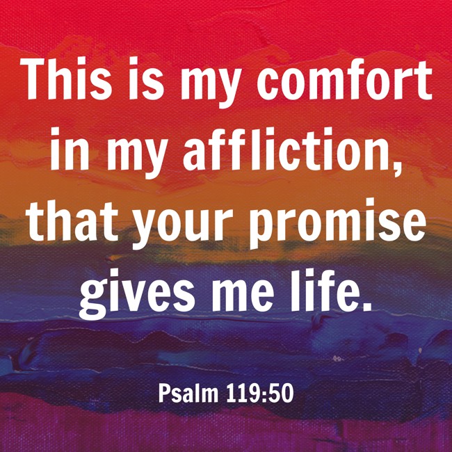This is my comfort in my affliction, that your promise gives me life. - Psalm 119:50