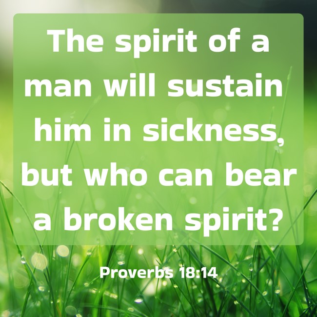 The spirit of a man will sustain him in sickness, but who can bear a broken spirit? - Proverbs 18:14