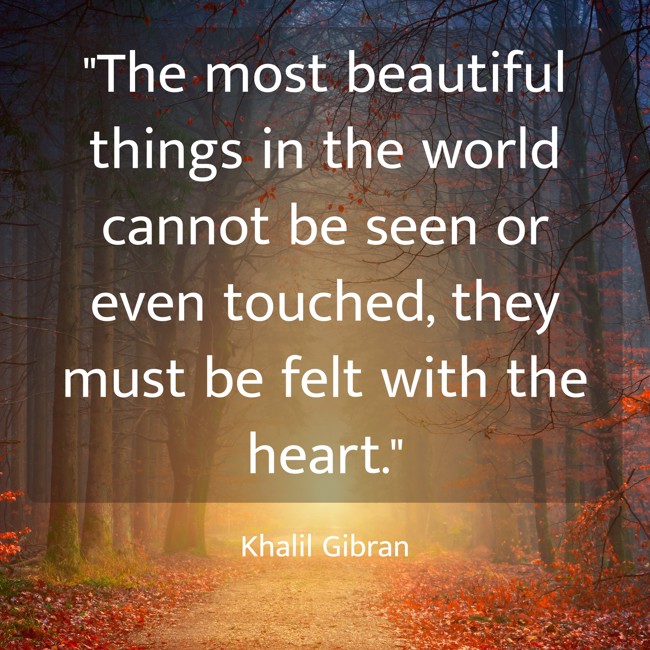 The most beautiful things in the world cannot be seen or even touched, they must be felt with the heart. - Khalil Gibran