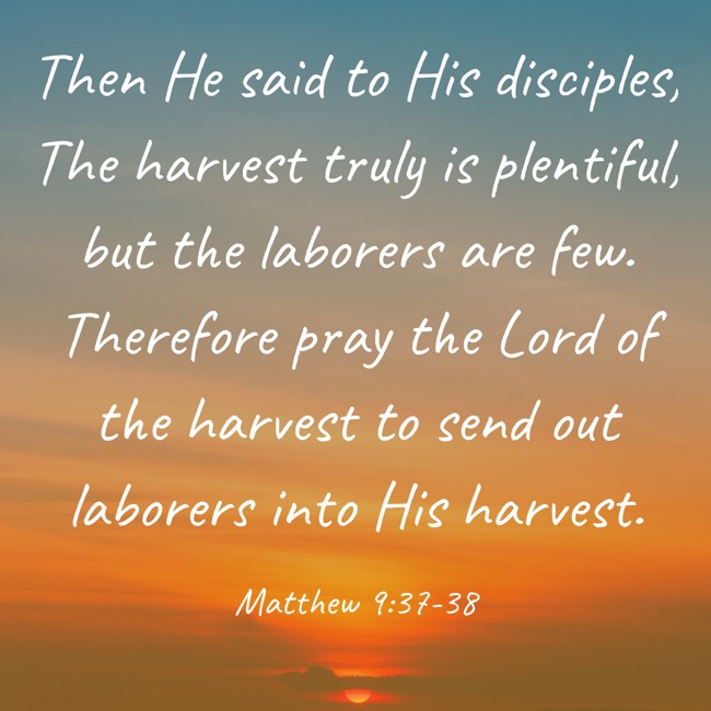 Then He said to His disciples, The harvest truly is plentiful, but the laborers are few. Therefore pray the Lord of the harvest to send out laborers into His harvest. - Matthew 9:37-38