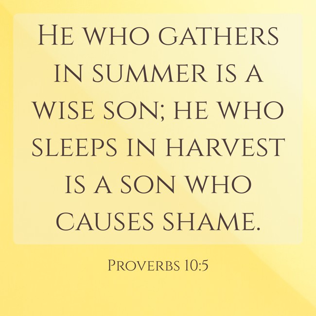 He who gathers in summer is a wise son; he who sleeps in harvest is a son who causes shame. - Proverbs 10:5