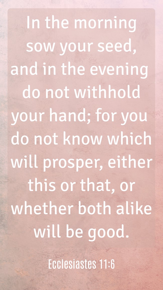 In the morning sow your seed, and in the evening do not withhold your hand; for you do not know which will prosper, either this or that, or whether both alike will be good. - Ecclesiastes 11:6
