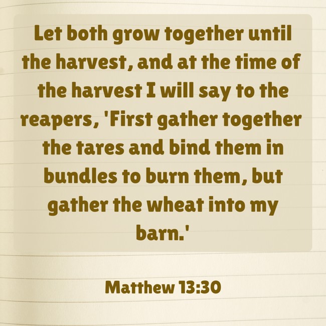 Let both grow together until the harvest, and at the time of the harvest I will say to the reapers, 'First gather together the tares and bind them in bundles to burn them, but gather the wheat into my barn.' - Matthew 13:30