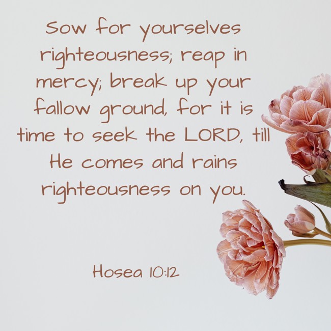 Sow for yourselves righteousness; reap in mercy; break up your fallow ground, for it is time to seek the LORD, till He comes and rains righteousness on you. - Hosea 10:12