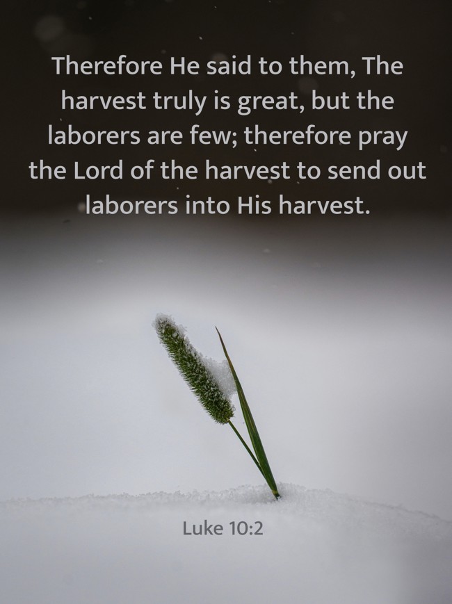 Therefore He said to them, The harvest truly is great, but the laborers are few; therefore pray the Lord of the harvest to send out laborers into His harvest. - Luke 10:2