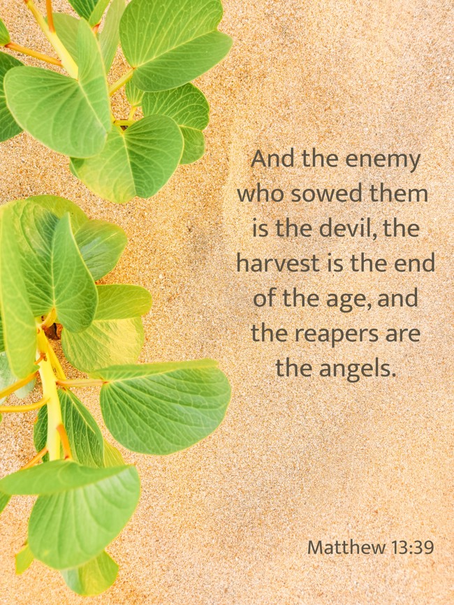 And the enemy who sowed them is the devil, the harvest is the end of the age, and the reapers are the angels. - Matthew 13:39