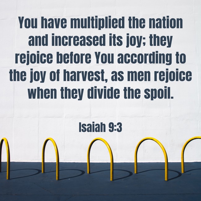 You have multiplied the nation and increased its joy; they rejoice before You according to the joy of harvest, as men rejoice when they divide the spoil. - Isaiah 9:3