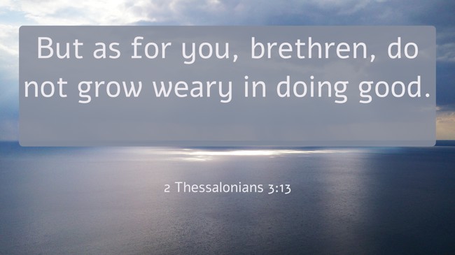 But as for you, brethren, do not grow weary in doing good. - 2 Thessalonians 3:13
