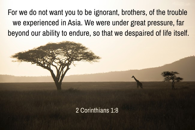 For we do not want you to be ignorant, brothers, of the trouble we experienced in Asia. We were under great pressure, far beyond our ability to endure, so that we despaired of life itself. - 2 Corinthians 1:8