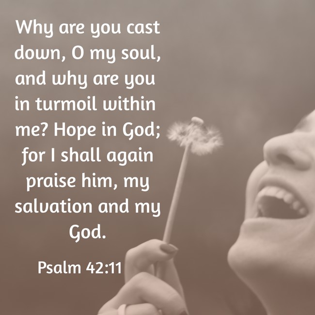 Why are you cast down, O my soul, and why are you in turmoil within me? Hope in God; for I shall again praise him, my salvation and my God. - Psalm 42:11